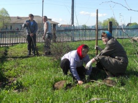 Жители Краснооктябрьского сельского поселения приняли участие Во Всероссийской акции по посадке лесов